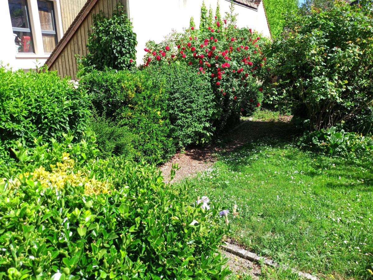 L'Essentiel De Chartres Daire Dış mekan fotoğraf
